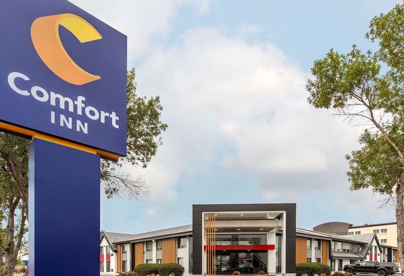 酒店 Comfort Inn South