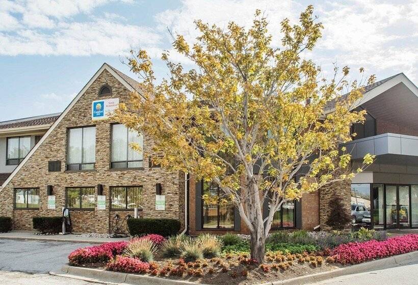 فندق Comfort Inn