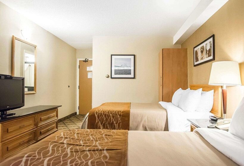 فندق Comfort Inn