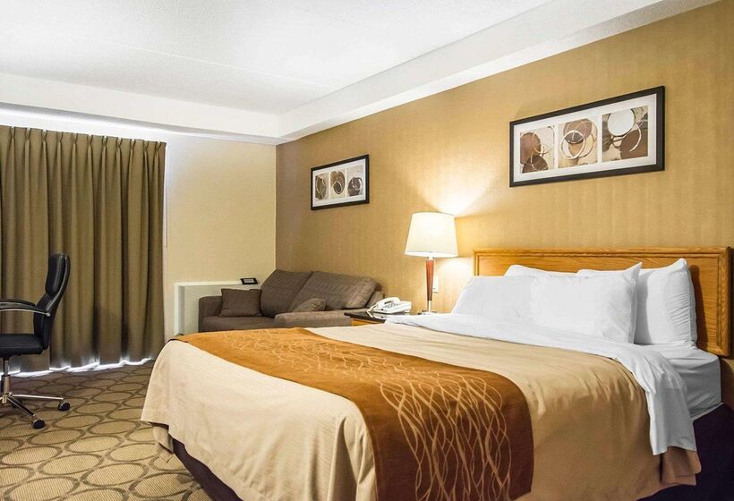 فندق Comfort Inn