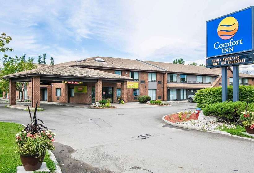 فندق Comfort Inn