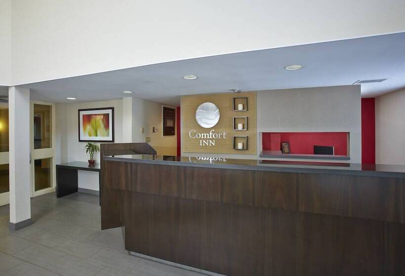 בית מלון כפרי Comfort Inn