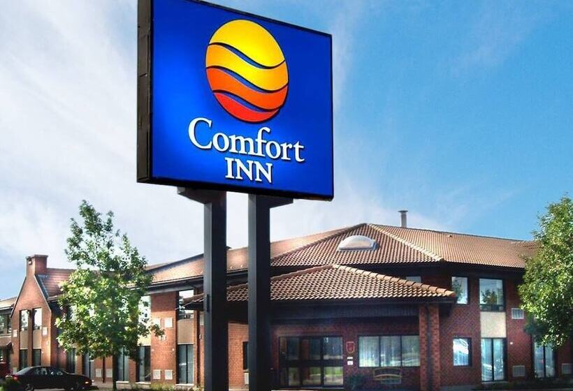 酒店 Comfort Inn