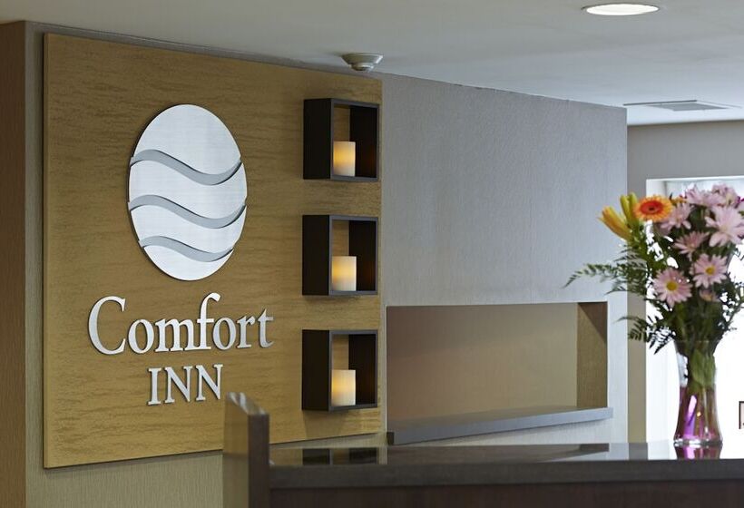 בית מלון כפרי Comfort Inn