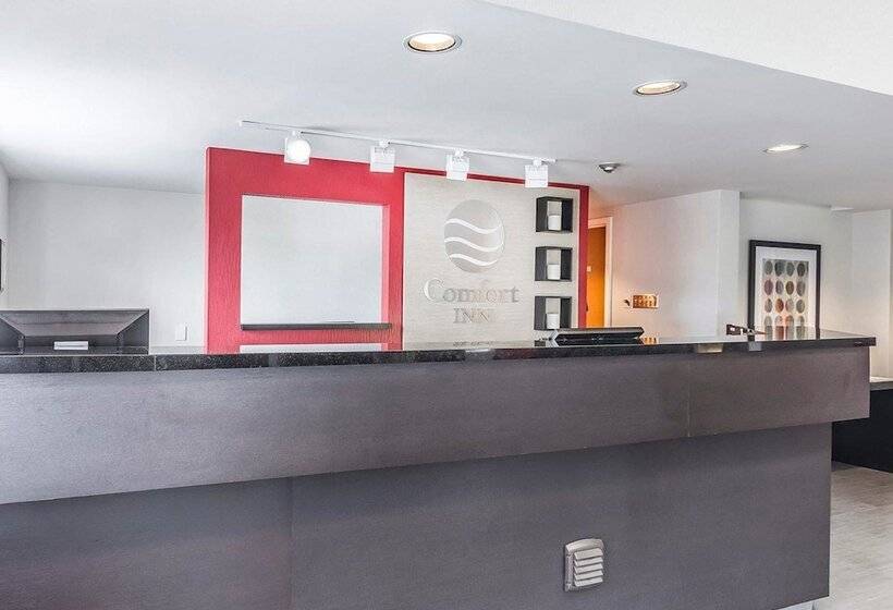 酒店 Comfort Inn