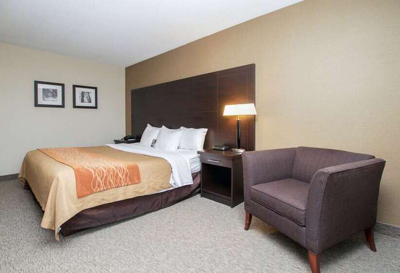 فندق Comfort Inn