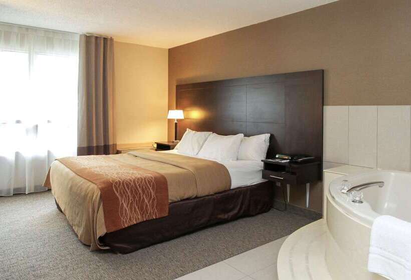 فندق Comfort Inn