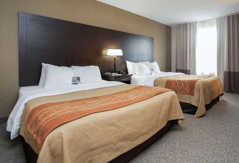 فندق Comfort Inn