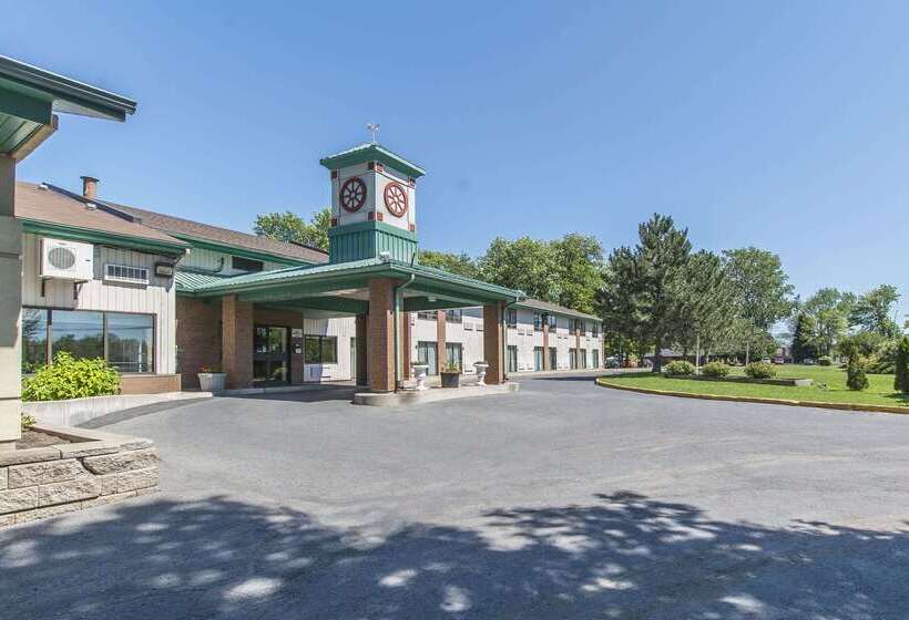 فندق Comfort Inn