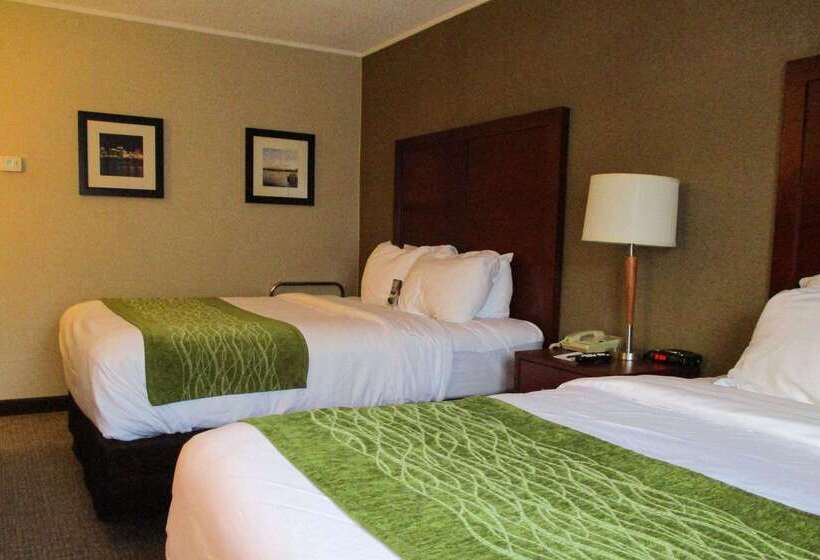 Hotel Comfort Inn Dartmouth