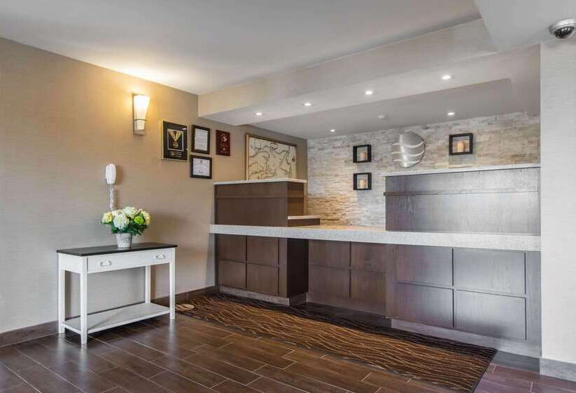 Hotel Comfort Inn Dartmouth