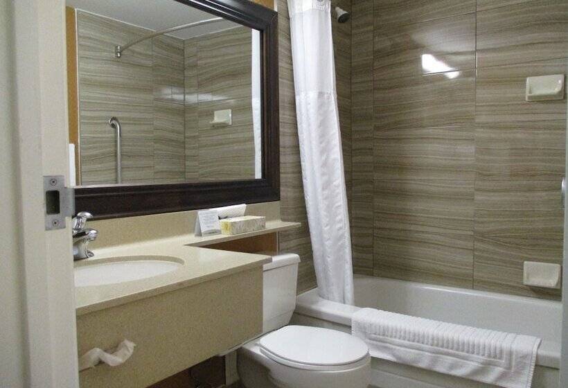 Hotel Comfort Inn Dartmouth