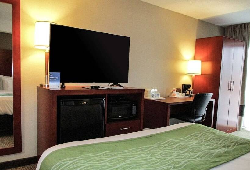 Hotel Comfort Inn Dartmouth