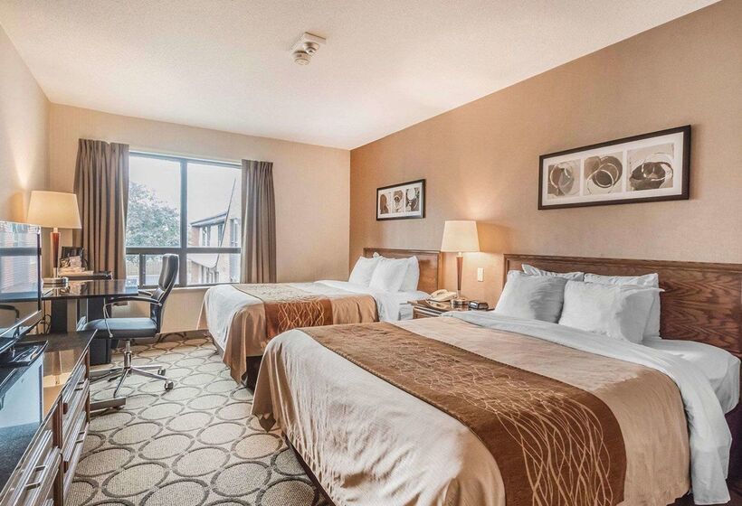 فندق Comfort Inn