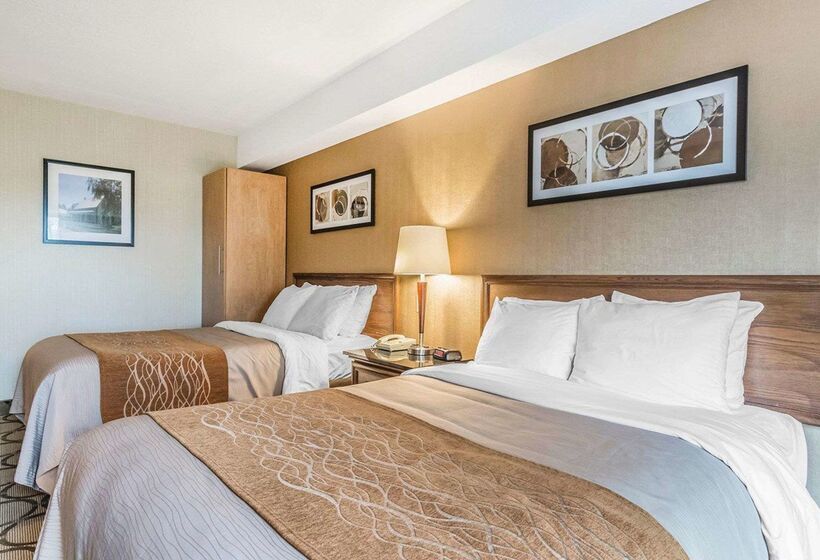 فندق Comfort Inn