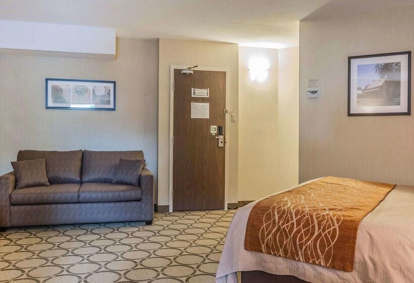 فندق Comfort Inn