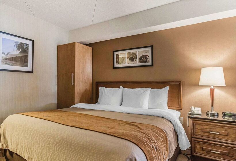 فندق Comfort Inn