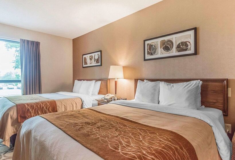 فندق Comfort Inn