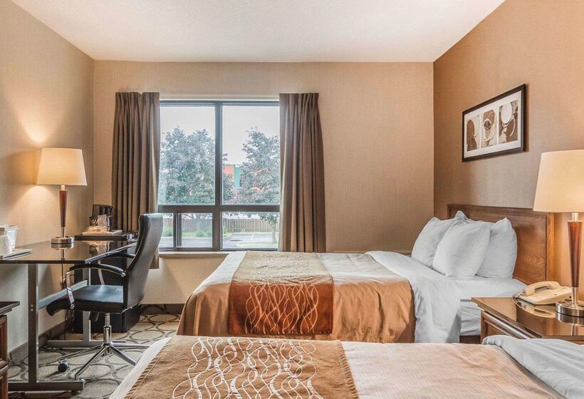 فندق Comfort Inn