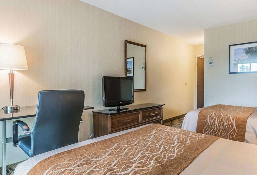 فندق Comfort Inn