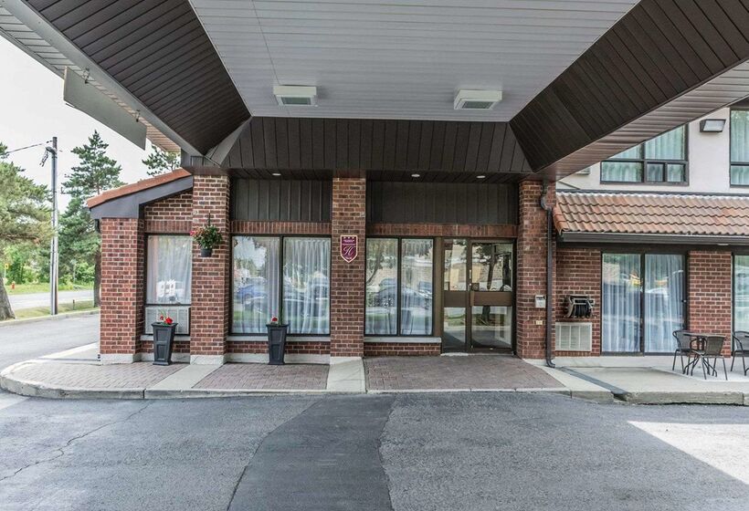 فندق Comfort Inn