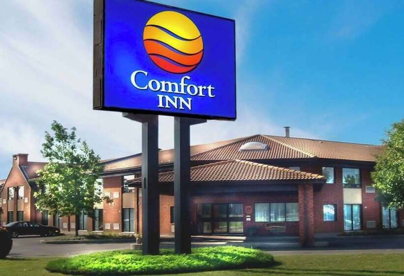 فندق Comfort Inn