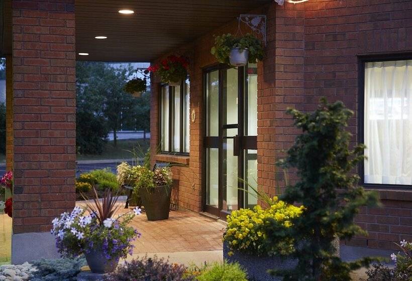 فندق Comfort Inn