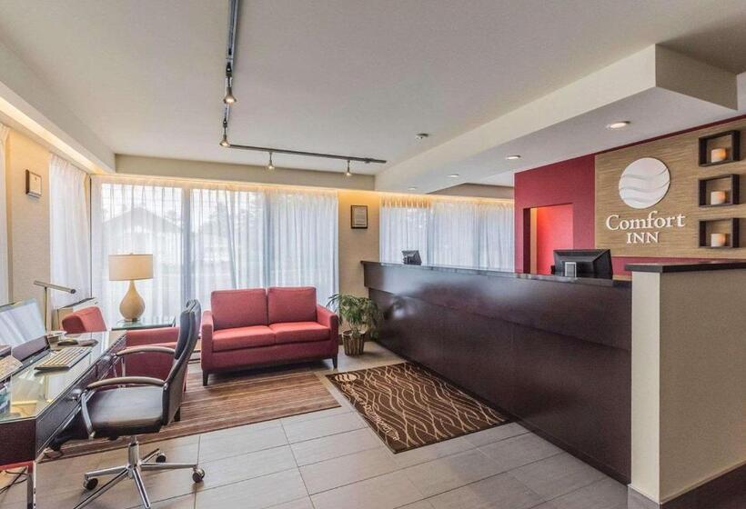 فندق Comfort Inn