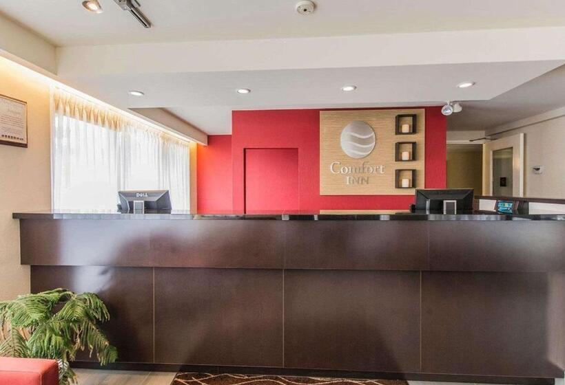 فندق Comfort Inn