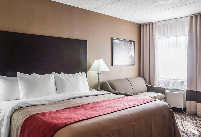 فندق Comfort Inn