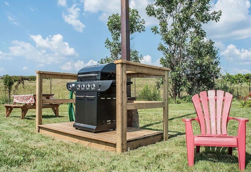 فندق Comfort Inn