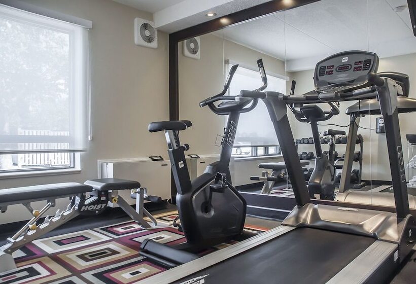 فندق Comfort Inn