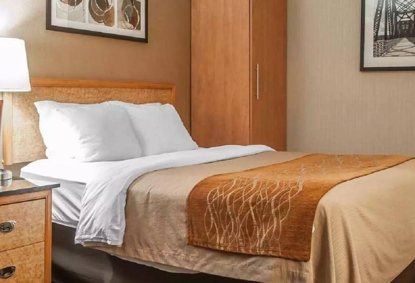 בית מלון כפרי Comfort Inn