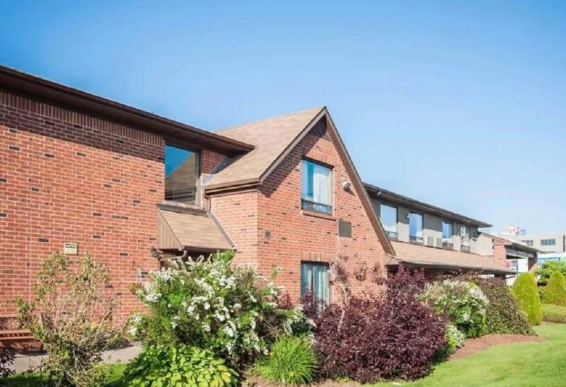 בית מלון כפרי Comfort Inn