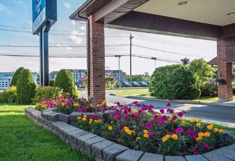 בית מלון כפרי Comfort Inn