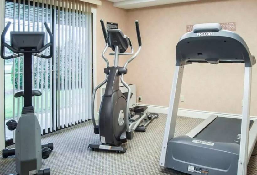 בית מלון כפרי Comfort Inn