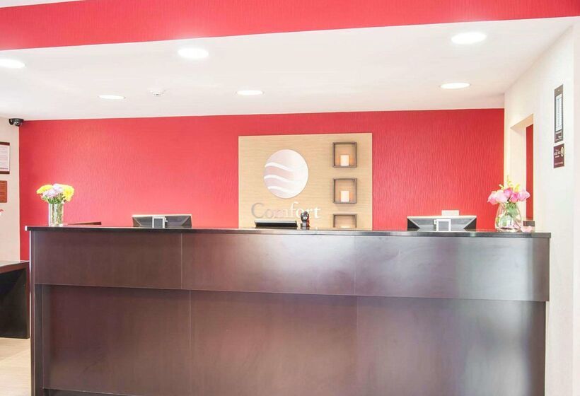 בית מלון כפרי Comfort Inn