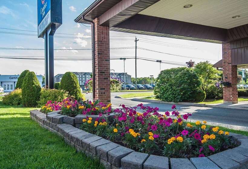 בית מלון כפרי Comfort Inn