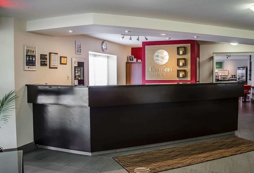 酒店 Comfort Inn South Shore