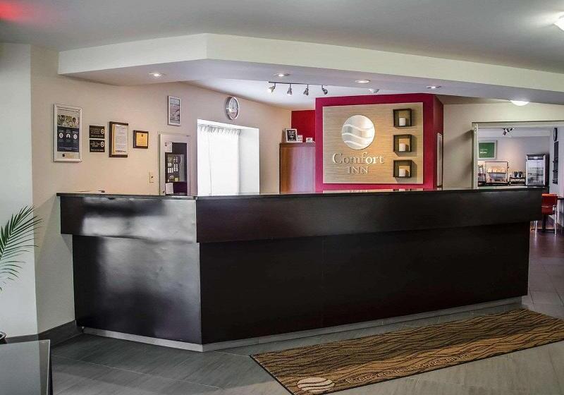 酒店 Comfort Inn South Shore