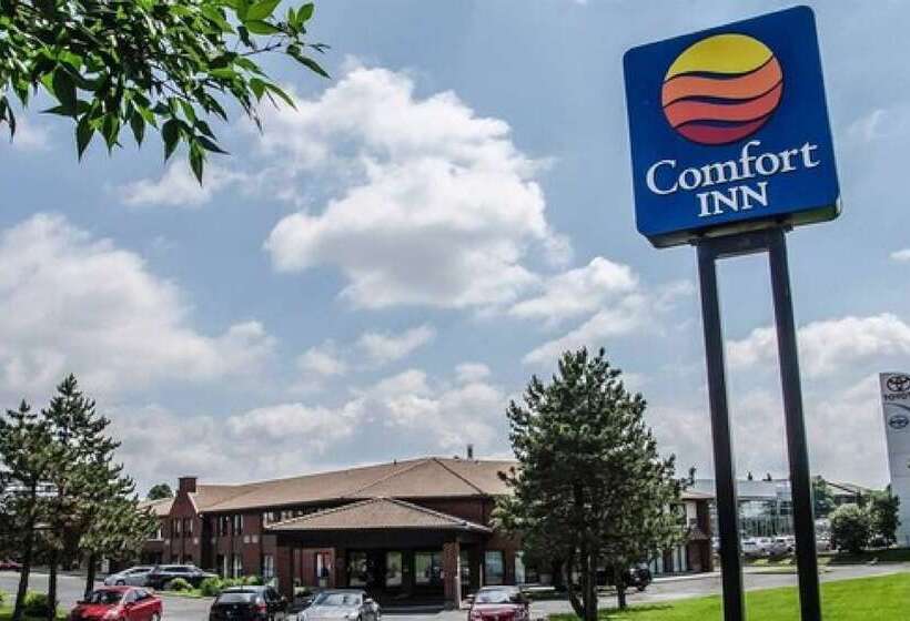 酒店 Comfort Inn South Shore