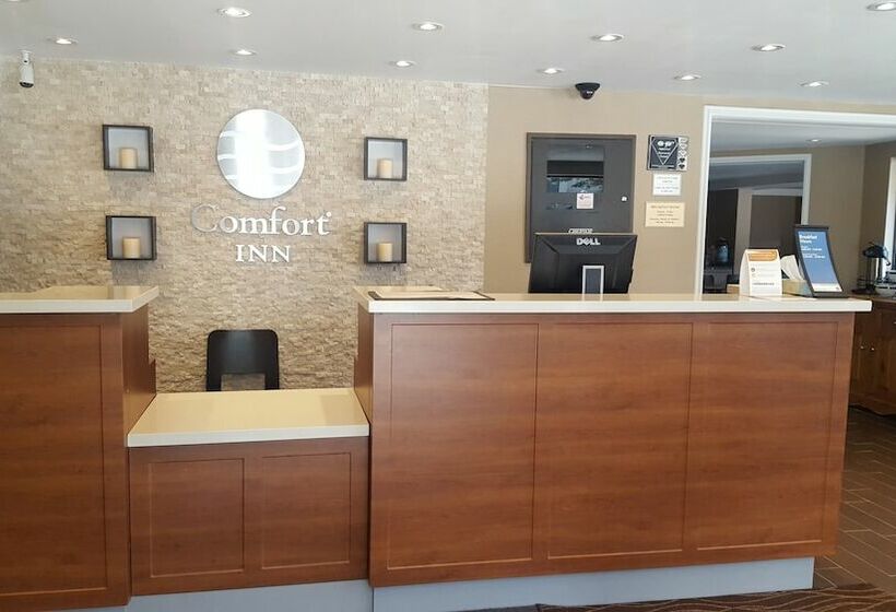 ホテル Comfort Inn Toronto North