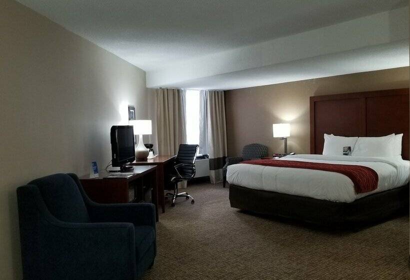 ホテル Comfort Inn Toronto North