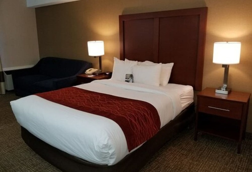 ホテル Comfort Inn Toronto North