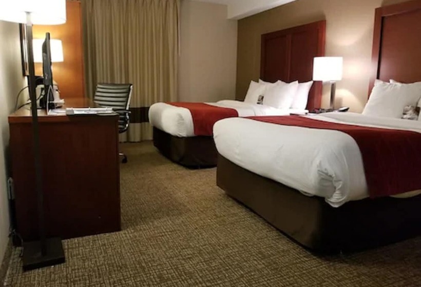 ホテル Comfort Inn Toronto North