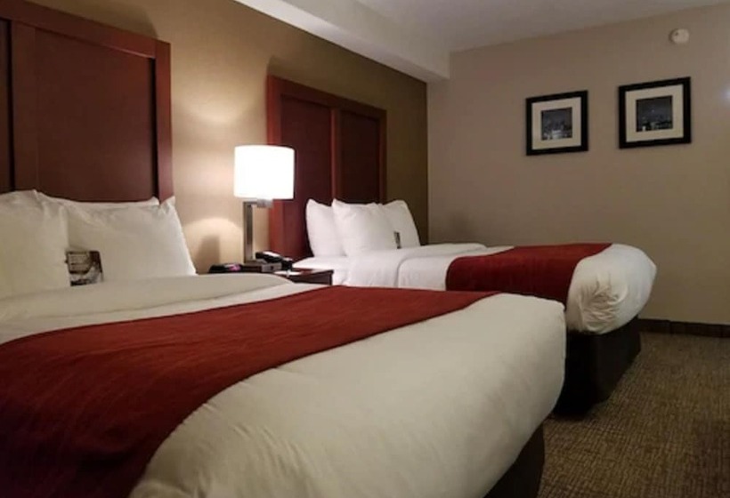 ホテル Comfort Inn Toronto North
