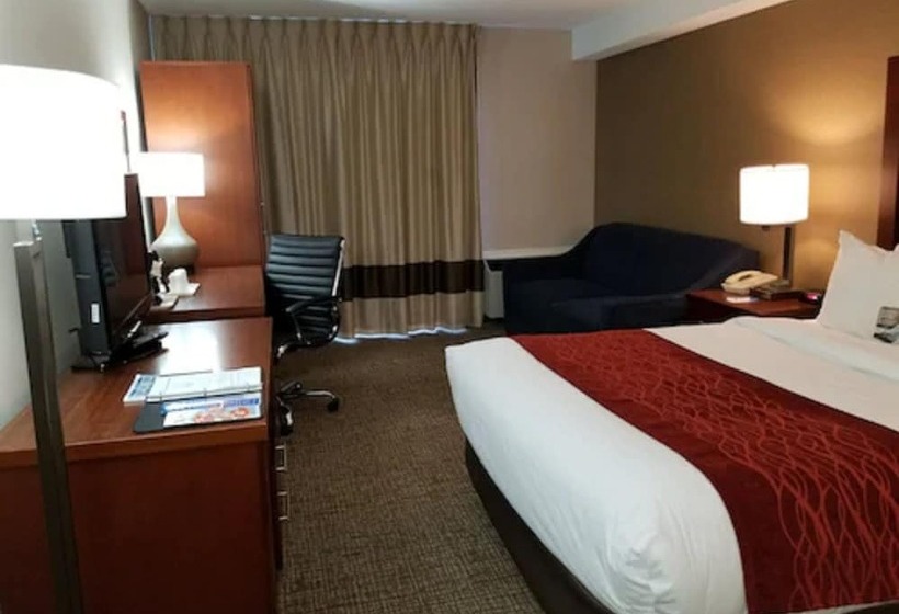 ホテル Comfort Inn Toronto North