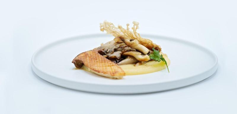 هتل Crowne Plaza Bratislava, An Ihg