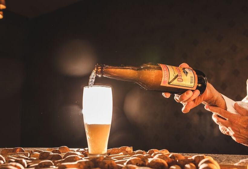 Отель Curitiba Palace