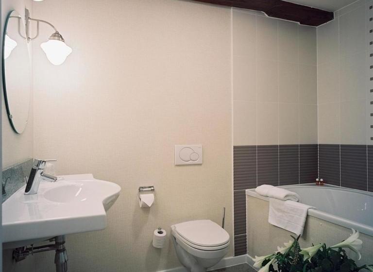 Отель Driekoningen